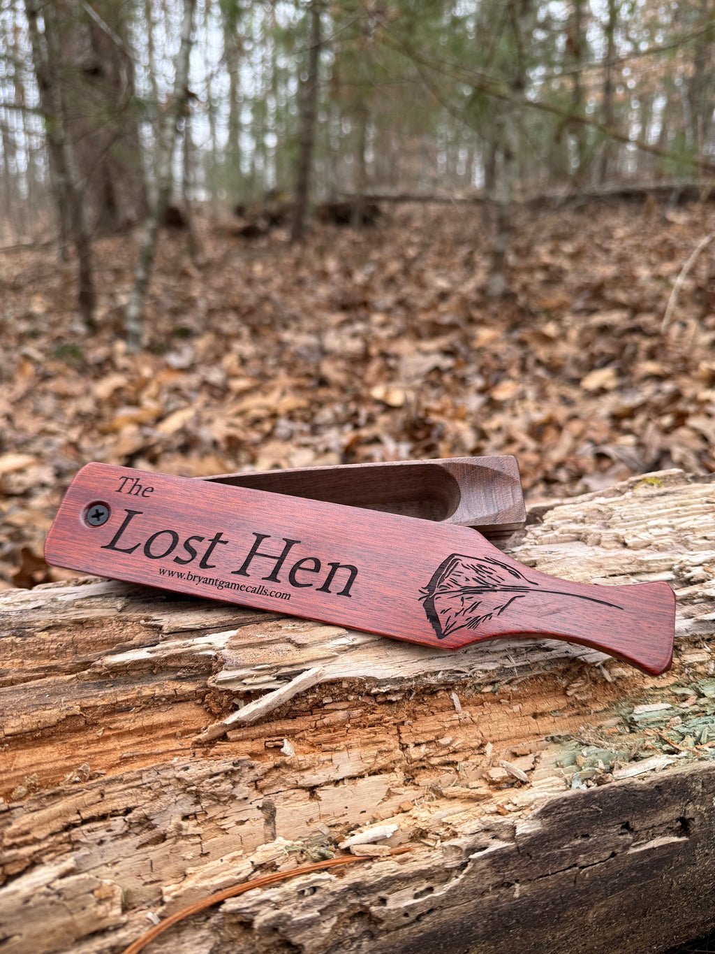 The Lost Hen